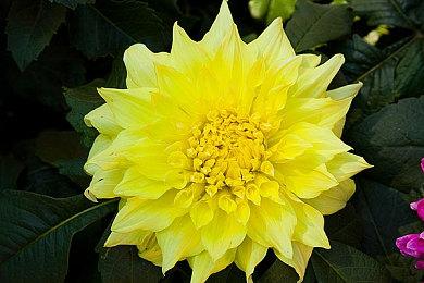 过去20年 Xbox所有世代主机在日销量仅230万台